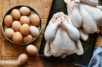 سیگنال عجیب به بازار مرغ | افزایش قیمت تخم مرغ قطعی شد؟