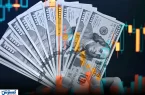 قیمت دلار امروز بازار را بهم ریخت (پنجشنبه ۲۴ مهر ۱۴۰۴)