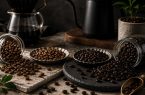 قهوه عربیکا ترش است یا روبوستا؟ بررسی تفاوت طعم و اسیدیته دو دانه قهوه